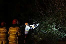 Boom blokkeert weg in Bussum