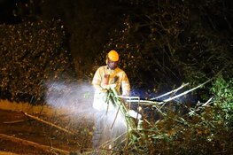 Boom blokkeert weg in Bussum