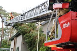 Boom beland tegen gevel van woning Naarden