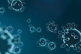 &#39;Handjevol&#39; Gooise inwoners getest op coronavirus: "Nog geen besmettingen"