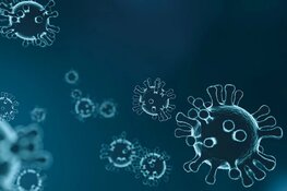 Twee mensen in 't Gooi besmet met het coronavirus