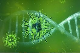 Gooise GGD over corona: "Kinderen thuis houden van school is echt niet nodig"