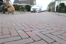Fietsster gewond aan haar hoofd