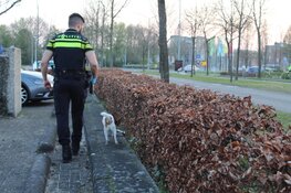Politie breekt deur van woning open en loopt rondje met hond