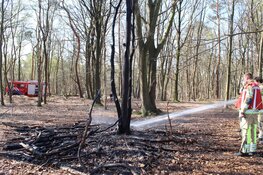 Brandje in bos bij Huizen