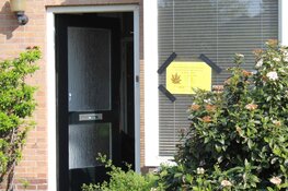 Wietplantage aan de Lijzij in Huizen