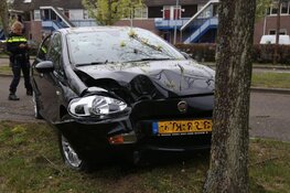 Automobilist aangehouden na botsing met boom