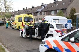 Automobilist aangehouden na botsing met boom