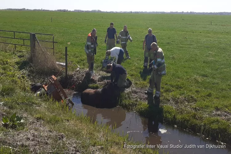 Paard en wagen raken te water in Eemnes