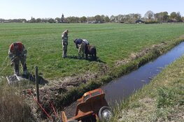 Paard en wagen raken te water in Eemnes