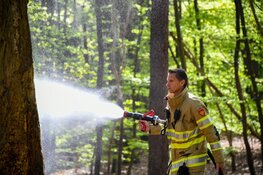 Bosbrand blijkt kampvuur