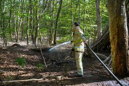 Bosbrand blijkt kampvuur
