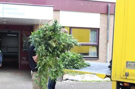 Hennepkwekerij in Huizen ontmanteld