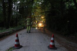 Boom omgewaaid in Blaricum