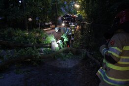 Boom omgewaaid in Blaricum