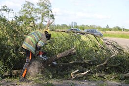 Omgewaaide boom zorgt voor overlast in Weesp