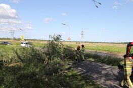 Omgewaaide boom zorgt voor overlast in Weesp