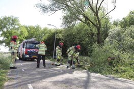 Omgewaaide boom zorgt voor overlast in Weesp