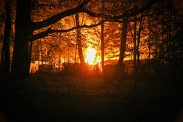 Felle brand verwoest caravan op Hilversumse camping