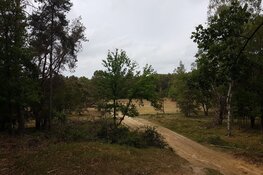 Mountainbiker belandt in ziekenhuis na val op Blaricummerheide