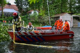 Grote boom in Hilversum waait om door harde wind