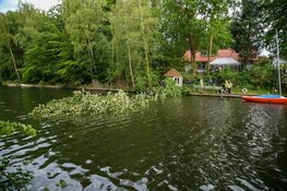 Grote boom in Hilversum waait om door harde wind
