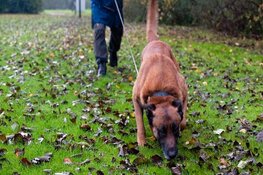 Politiehond vindt verdachte op bouwterrein