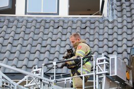 Kat Sammie onder luid applaus van dak gered in Bussum