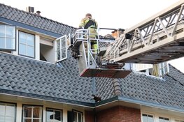 Kat Sammie onder luid applaus van dak gered in Bussum