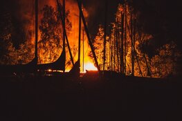 Fikse brand op eiland bij de Loosdrechtse plassen