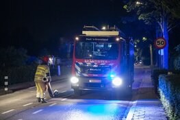 Fikse brand op eiland bij de Loosdrechtse plassen