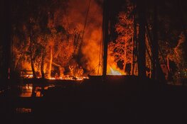 Fikse brand op eiland bij de Loosdrechtse plassen