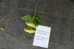 Bloemen als alternatief protest tegen coronamaatregelen