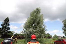 Boom valt op auto&#39;s in Kortenhoef