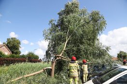 Boom valt op auto&#39;s in Kortenhoef