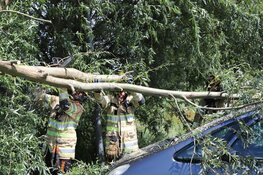 Boom valt op auto&#39;s in Kortenhoef
