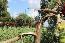 Boom valt op auto&#39;s in Kortenhoef