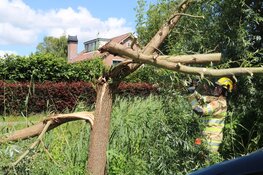 Boom valt op auto&#39;s in Kortenhoef