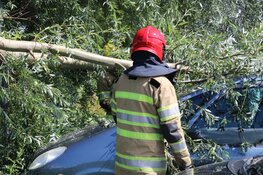 Boom valt op auto&#39;s in Kortenhoef