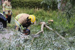 Boom valt op auto&#39;s in Kortenhoef