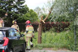 Boom valt op auto&#39;s in Kortenhoef