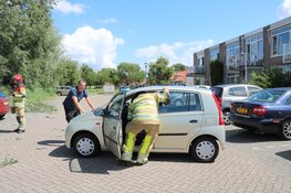 Boom valt op auto&#39;s in Kortenhoef