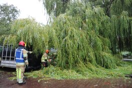 Grote tak breekt af en belandt op busje in Naarden