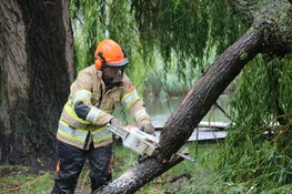 Grote tak breekt af en belandt op busje in Naarden