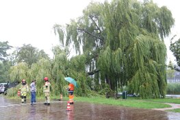 Grote tak breekt af en belandt op busje in Naarden