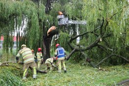 Grote tak breekt af en belandt op busje in Naarden