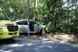 Automobilist botst tegen boom