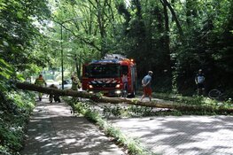 Naarderweg enige tijd afgesloten door boom over de weg