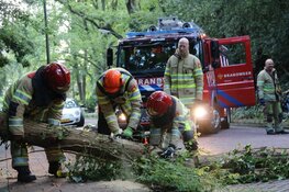 Naarderweg enige tijd afgesloten door boom over de weg