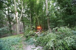 Grote boom blokkeert fietspad tussen Bussum en Huizen